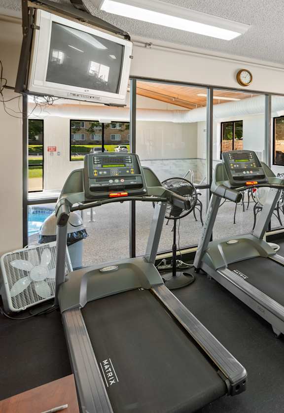 A gym with treadmills, exercise bikes, and other equipment.