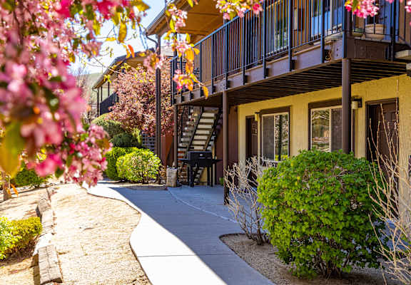 a sidewalk in front of a yellow house with pink flowers