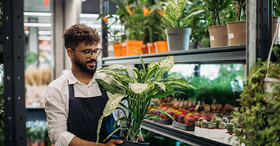 A man in an apron holds a potted plant in a greenhouse.