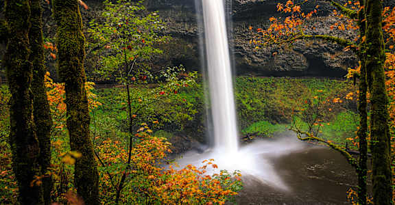 a waterfall in the woods