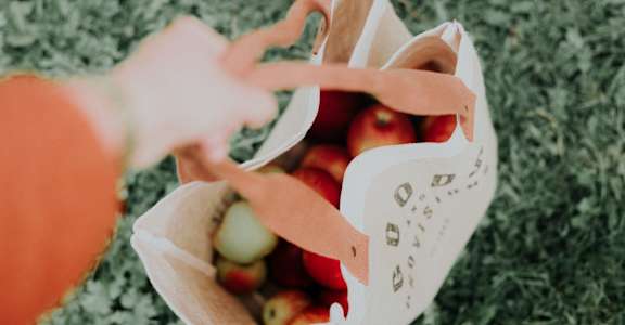 a person holding a basket of apples on the grass