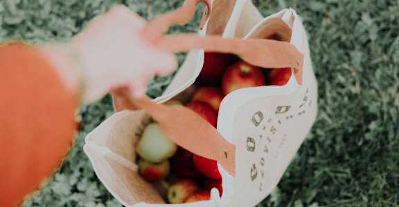 a person holding a basket of apples on the grass