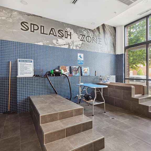 Midtown 205 Apartments in Charlotte, NC Dog Wash