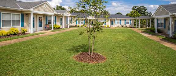 a tree in the middle of a grassy area in front of a row of houses