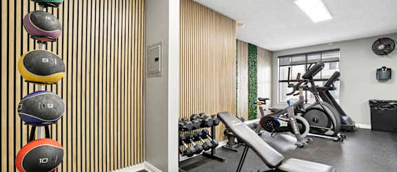 A gym with a variety of equipment including dumbbells, a bench, and a treadmill.