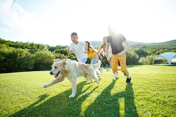 A dog is running with two people in a grassy field.
