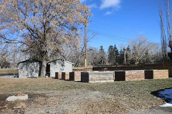 A backyard with a fence, a shed, and a tree.
