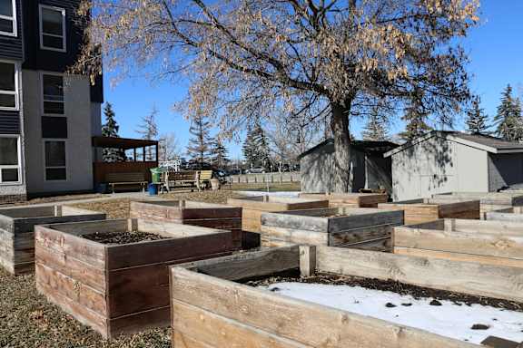 A row of wooden raised garden beds are in the foreground of a snowy landscape.