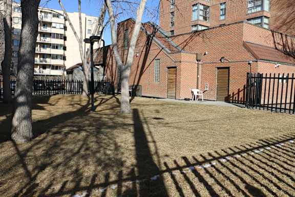 A sunny day in a courtyard with a fence and a building in the background.