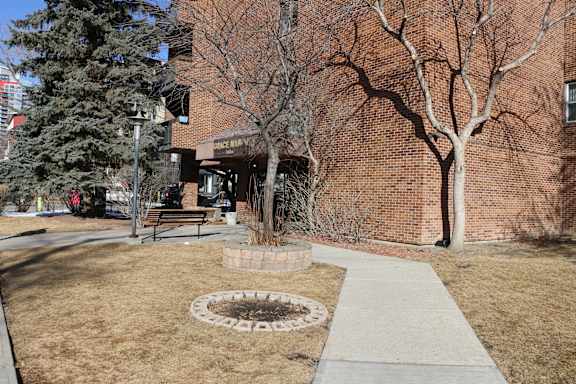 A tree is in front of a brick building.