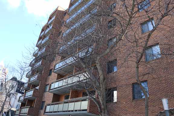 A tall brick building with a tree in front of it.