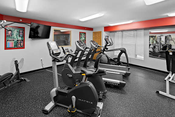 A gym with a variety of cardio equipment including treadmills and stationary bikes.