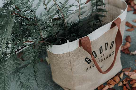A bag with the words "Goods and Provisions" printed on it.