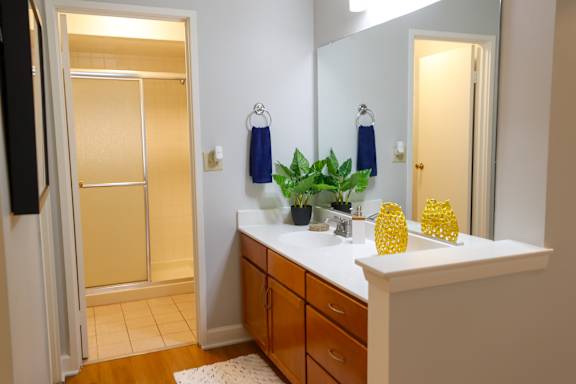 Master Bedroom Vanity Area