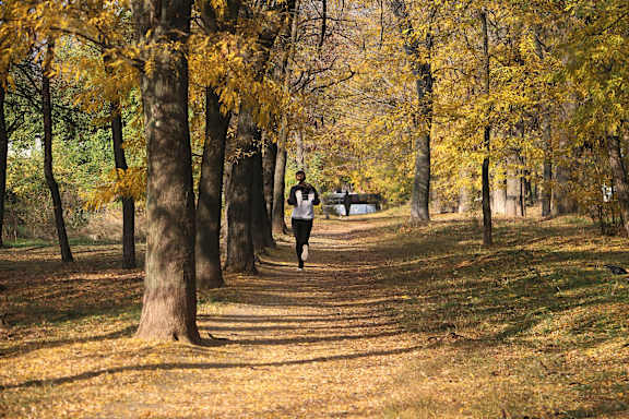 A person is running on a path in a park with yellow leaves on the ground at The Foundry Apartments, Bordon, GU35 9FE