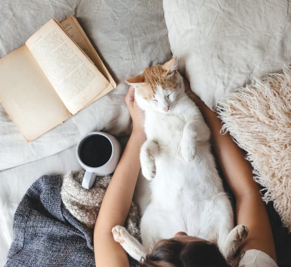 a woman laying on a couch with a cat and a book