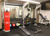 Thumbnail 7 of 8 - a gym with weights and a punching bag in it