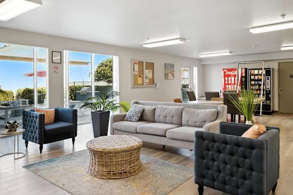 A living room with a grey sofa, a black armchair, and a wicker table.