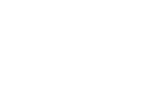 The image is a logo for N Kingsley Apartment Homes.