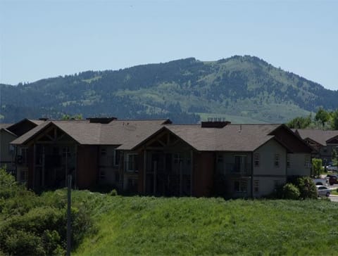 Mountain View at Sweetgrass Landing, Mount Pleasant, SC, 29466