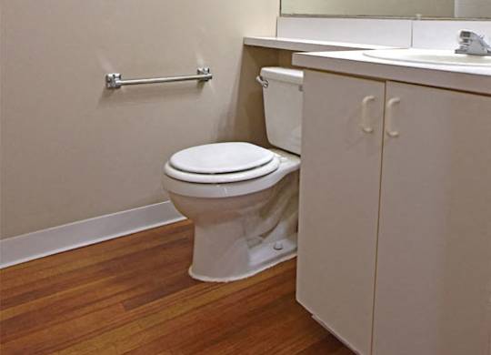 Bathroom Accessories at Windsor Place, Davison, Michigan