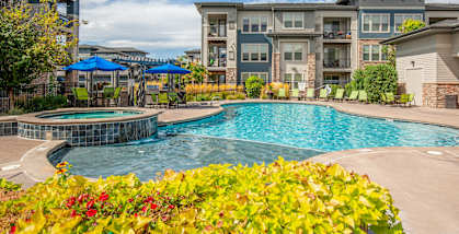Large swimming pool and a patio with umbrellas