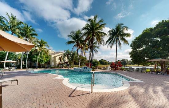 A large outdoor swimming pool surrounded by palm trees.