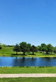 a large pond with trees and grass around it