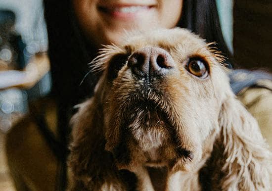 a woman holding a dog with its mouth open