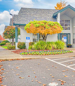A parking lot in front of a building with a tree with orange leaves.