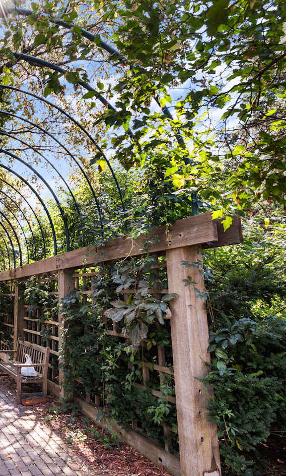 A green arched trellis runs along a brick pathway in a lush garden.