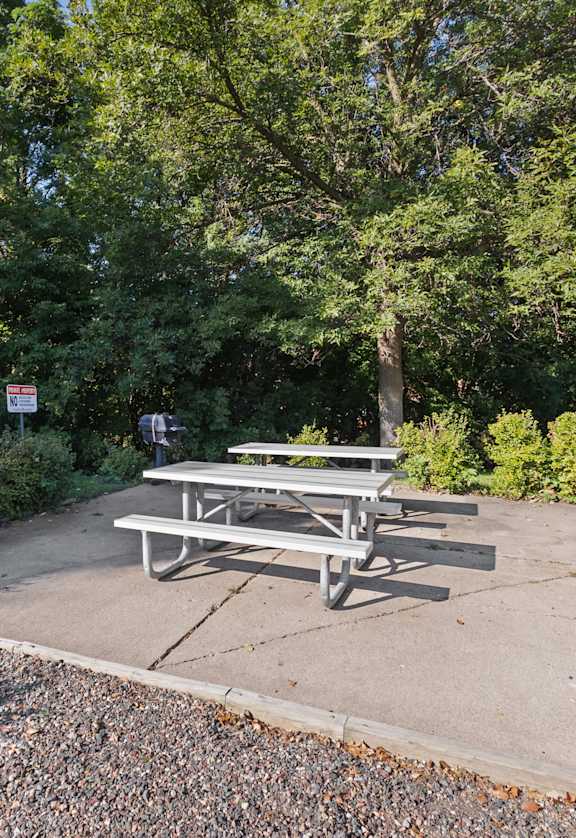 A picnic table is surrounded by trees and bushes.