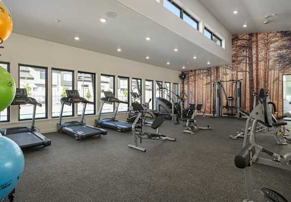 Spacious gym at Fossil Cove, Pleasant Grove, 84062
