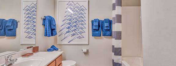 A bathroom with a white sink, toilet, and a blue and white shower curtain.