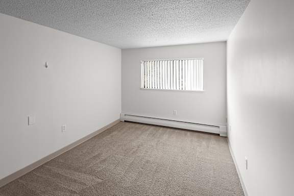 A room with a carpeted floor and a window with blinds.