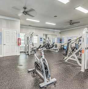 A gym with a variety of exercise equipment including treadmills, stationary bikes, and weight machines.
