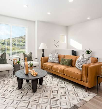 A living room with a brown sofa, a black coffee table, and a grey rug.
