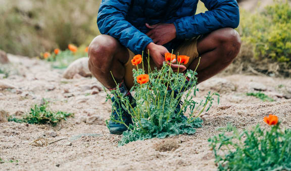 a man squatting down and looking at flowers in the dirt