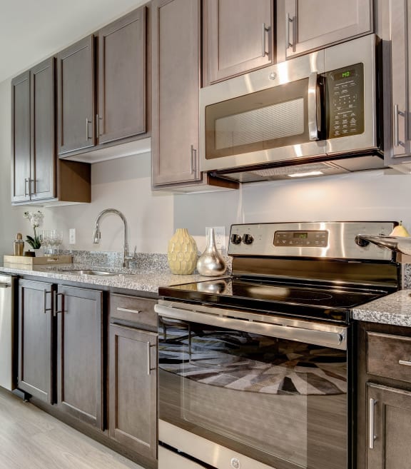 a kitchen with gray cabinets and stainless steel appliances at Ascend Apollo Apartments, Largo, MD, 20774