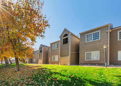A row of houses with a tree in front of them.