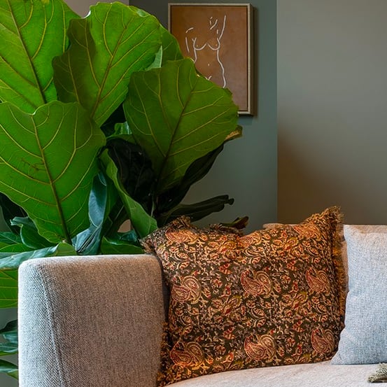 a couch with pillows and a plant in a living room