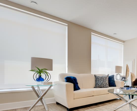 A living room with two large windows.