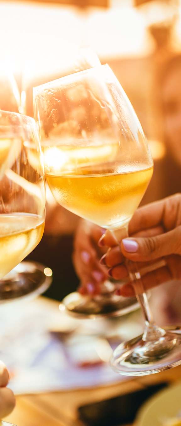 A group of people toasting with glasses of white wine.