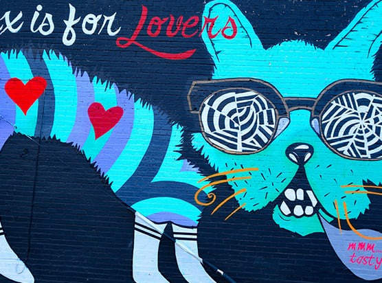 a mural of a cat wearing sunglasses and the words love is for lovers