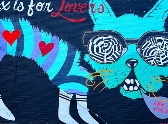 a mural of a cat wearing sunglasses and the words love is for lovers