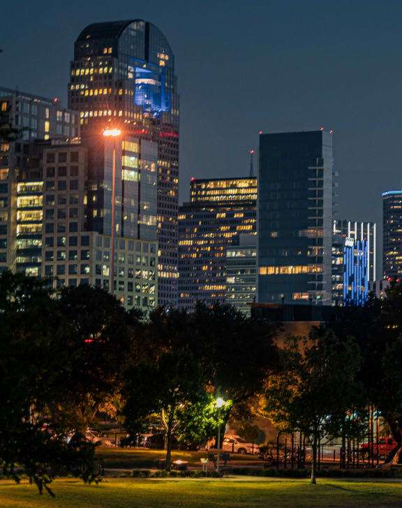 a city skyline at night with a park in the foreground