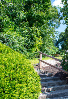 steps leading up a hill in a park
