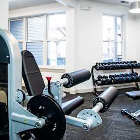 a fitness room with weights and a row of exercise machines