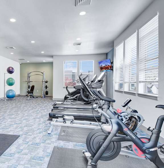 A gym with a variety of equipment including treadmills, weights, and exercise balls.
