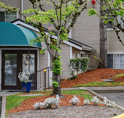 A building with a green awning and a tree with white flowers in front.
